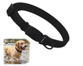 picture of a rubber dog collar