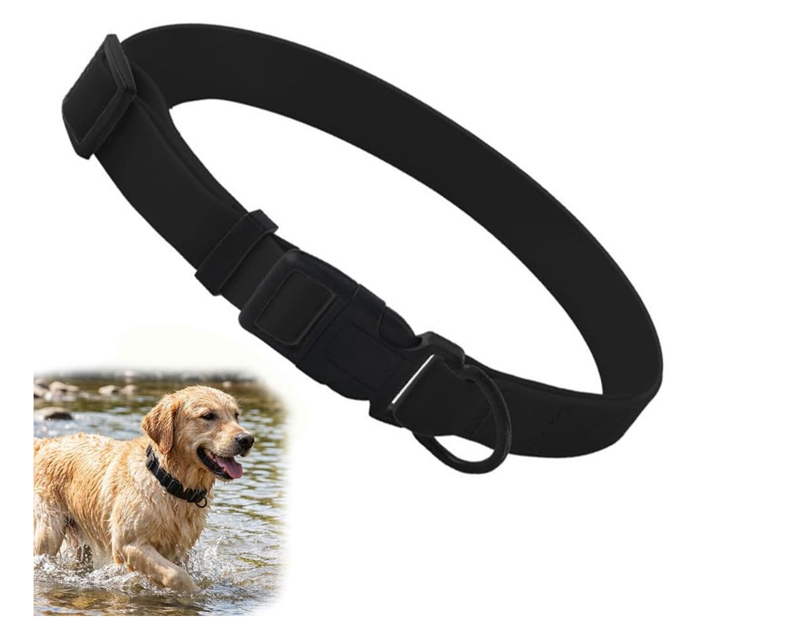 picture of a rubber dog collar