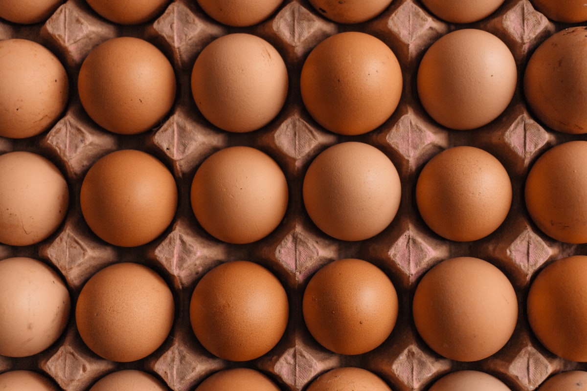 Brown farm eggs in a carton