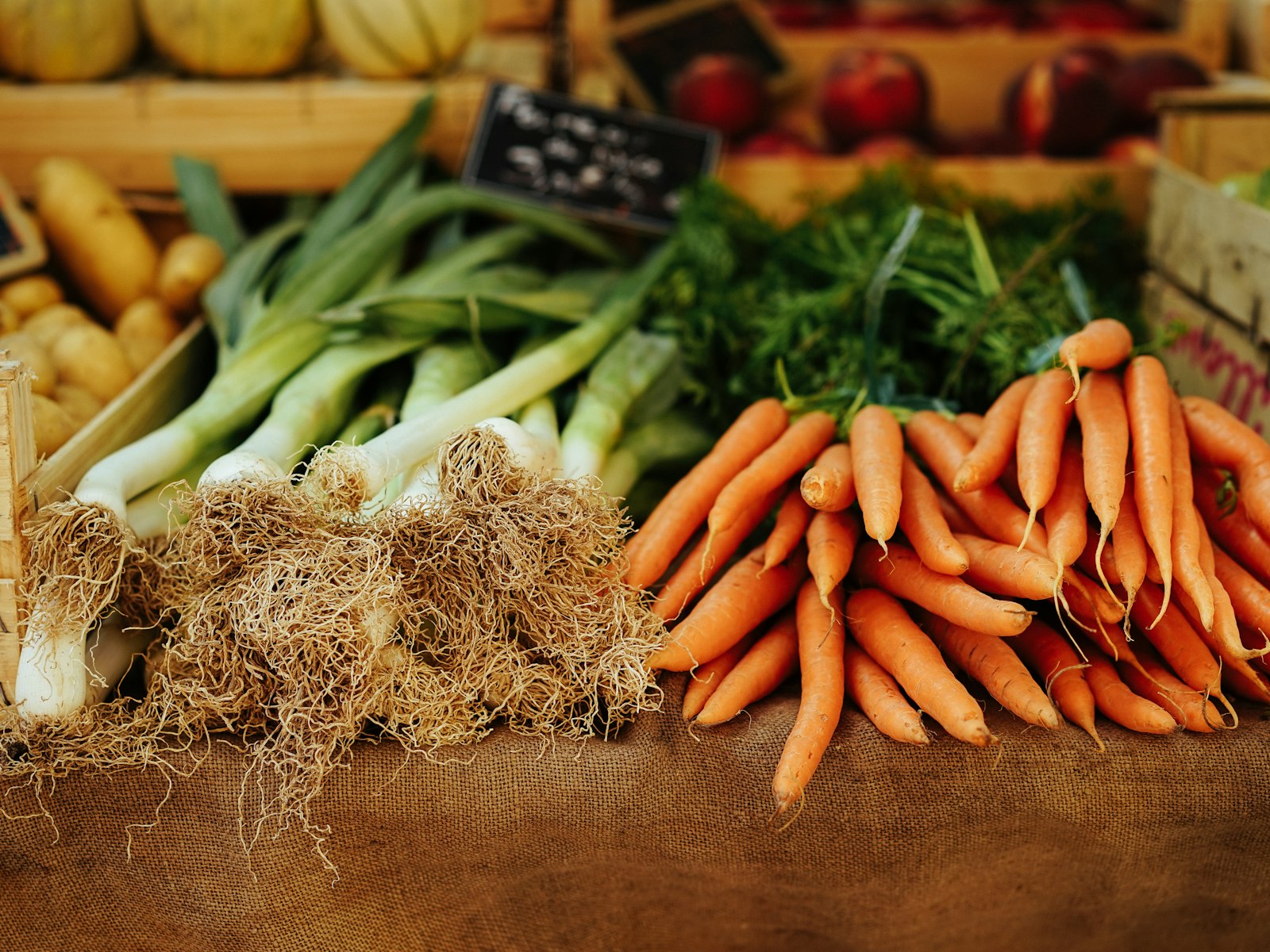 Fresh carrots, leeks, and other vegetables at harvest